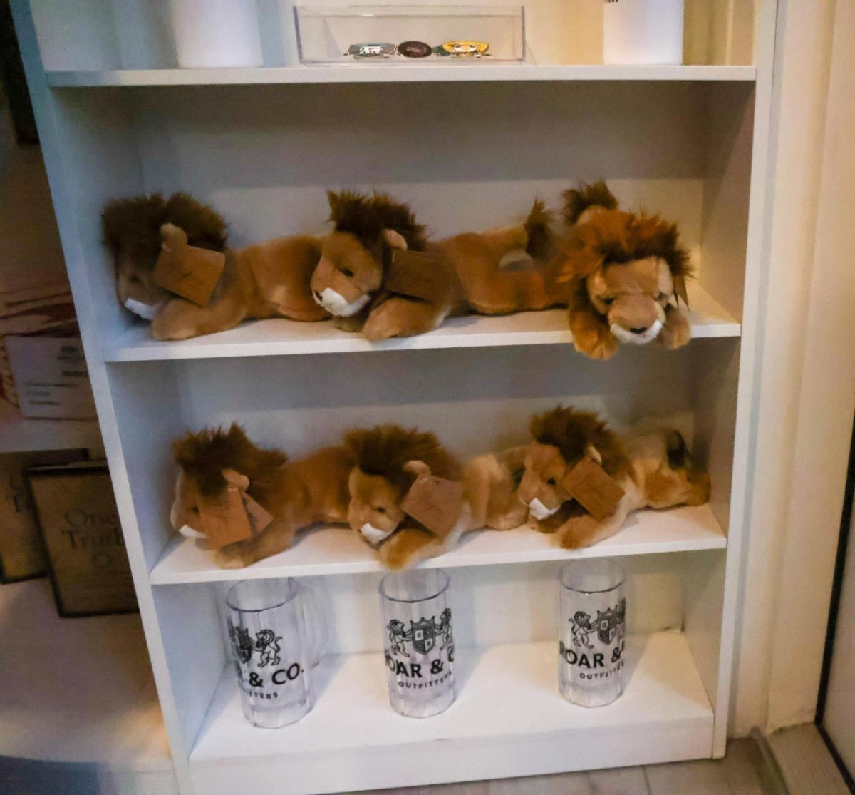 The new store offers more than clothing. There were lions, mugs, pins, and more. 